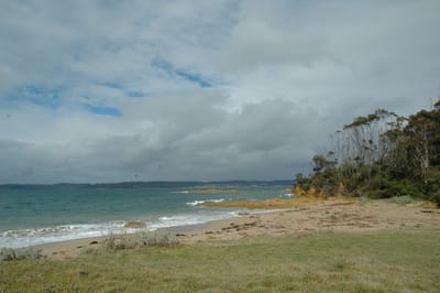 DSC_1226.JPG