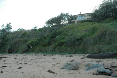 DSC_1239.JPG