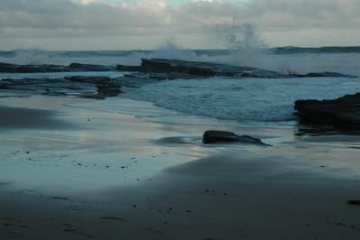 DSC_1244.JPG