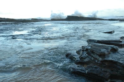 DSC_1245.JPG