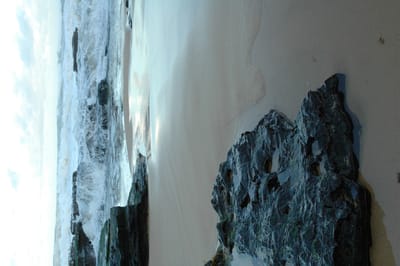 DSC_1247.JPG