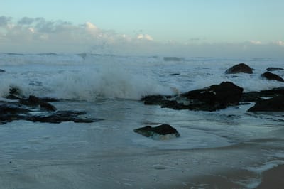 DSC_1248.JPG