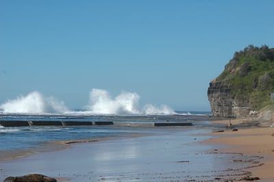 DSC_1264.JPG