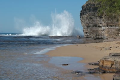 DSC_1265.JPG