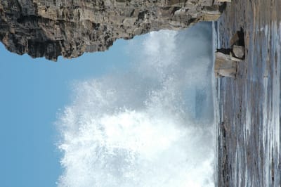 DSC_1266.JPG