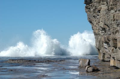 DSC_1267.JPG