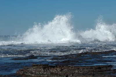 DSC_1269.JPG