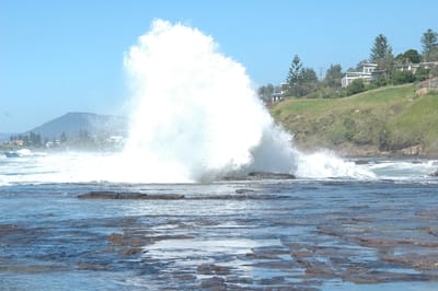 DSC_1271.JPG