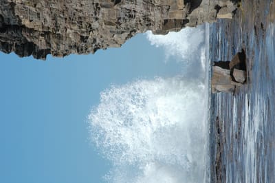DSC_1275.JPG