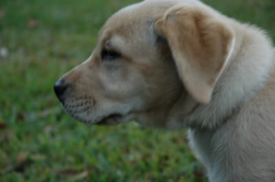 DSC_0040.JPG