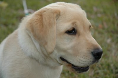 DSC_0044.JPG