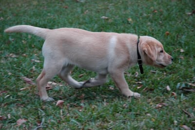 DSC_0067.JPG