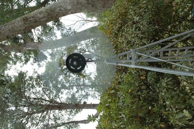 DSC_0075.JPG