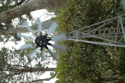 DSC_0076.JPG