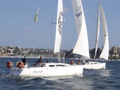 P4028584.JPG