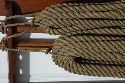 DSC_0446.JPG