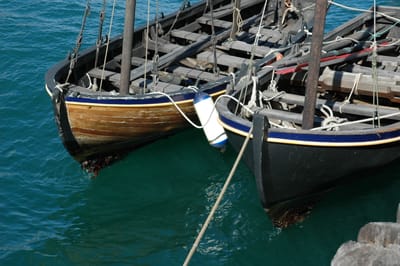 DSC_0476.JPG