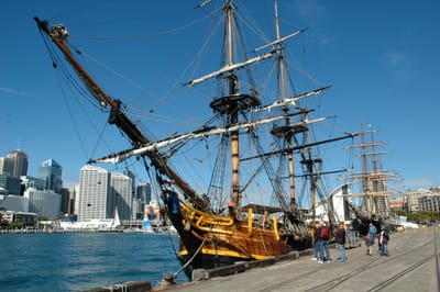 DSC_0477.JPG