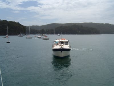 DSCF0097.JPG