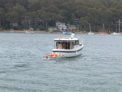 DSCF0100.JPG