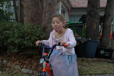 DSC_0239.JPG