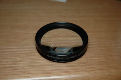DSC_0312.JPG