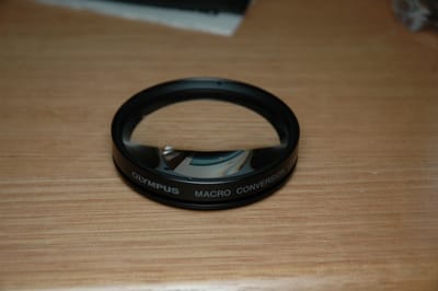 DSC_0313.JPG