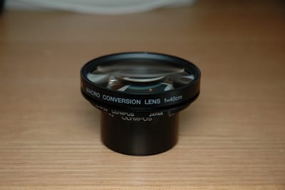 DSC_0315.JPG