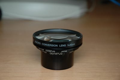 DSC_0316.JPG