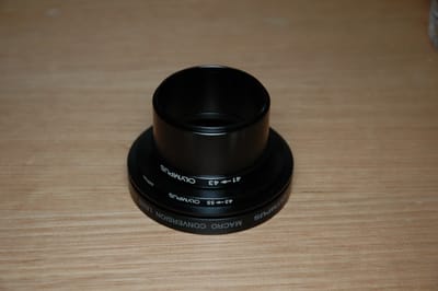 DSC_0317.JPG