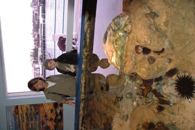DSC_0156.JPG