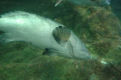DSC_0173.JPG