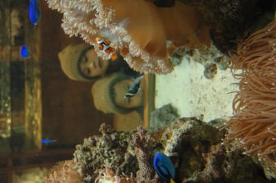 DSC_0183.JPG