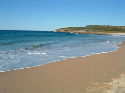 DSCF0124.JPG