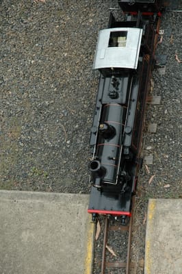 DSC_1953.JPG