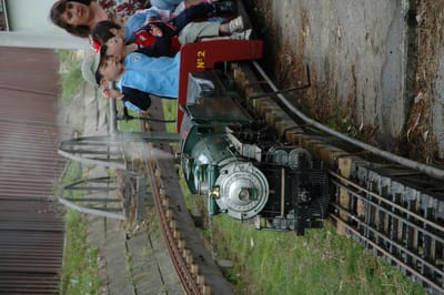 DSC_1960.JPG