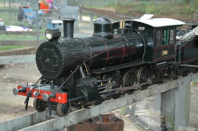 DSC_1981.JPG