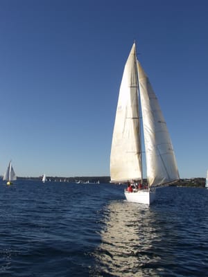 P7167334.JPG