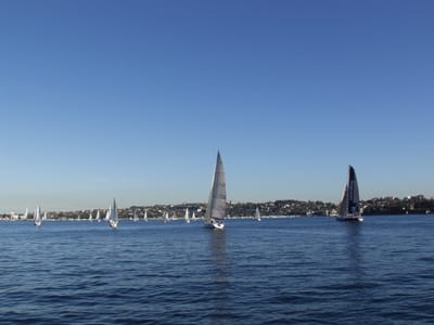 P7167337.JPG