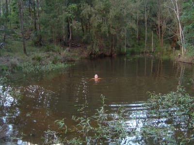 DSCF0013.JPG