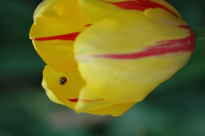 DSC_0950.JPG