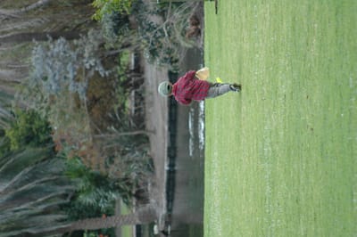 DSC_0952.JPG