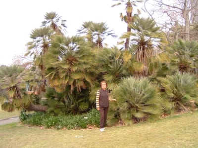 DSCF0020.JPG
