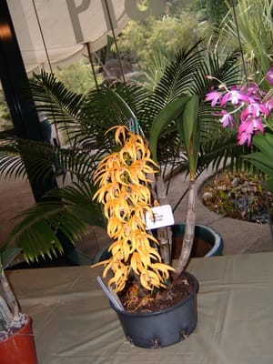 DSCF0025.JPG