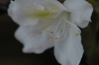 DSC_0996.JPG