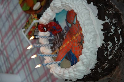 DSC_1006.JPG