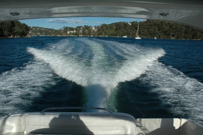 DSC_4096.JPG