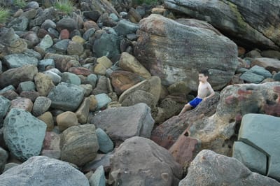 DSC_2714.JPG