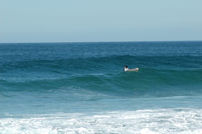 DSC_2728.JPG