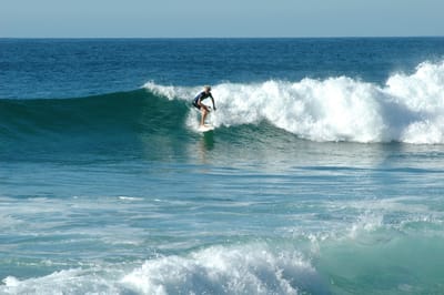 DSC_2730.JPG